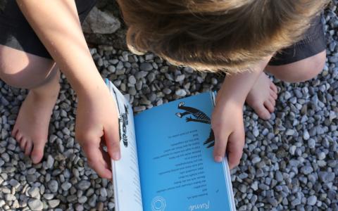 Symboldbild: Junge mit Buch im Freien